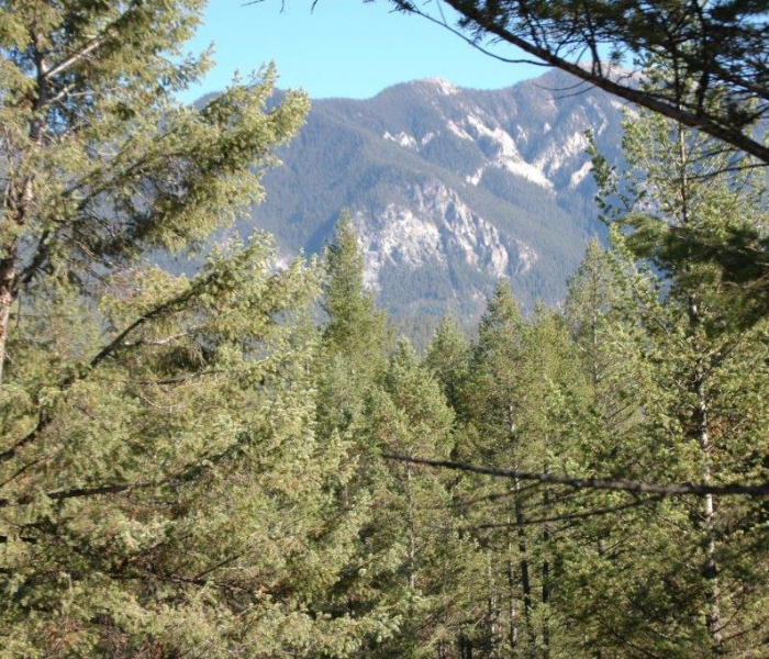 Home Page Elkhorn Country Estates